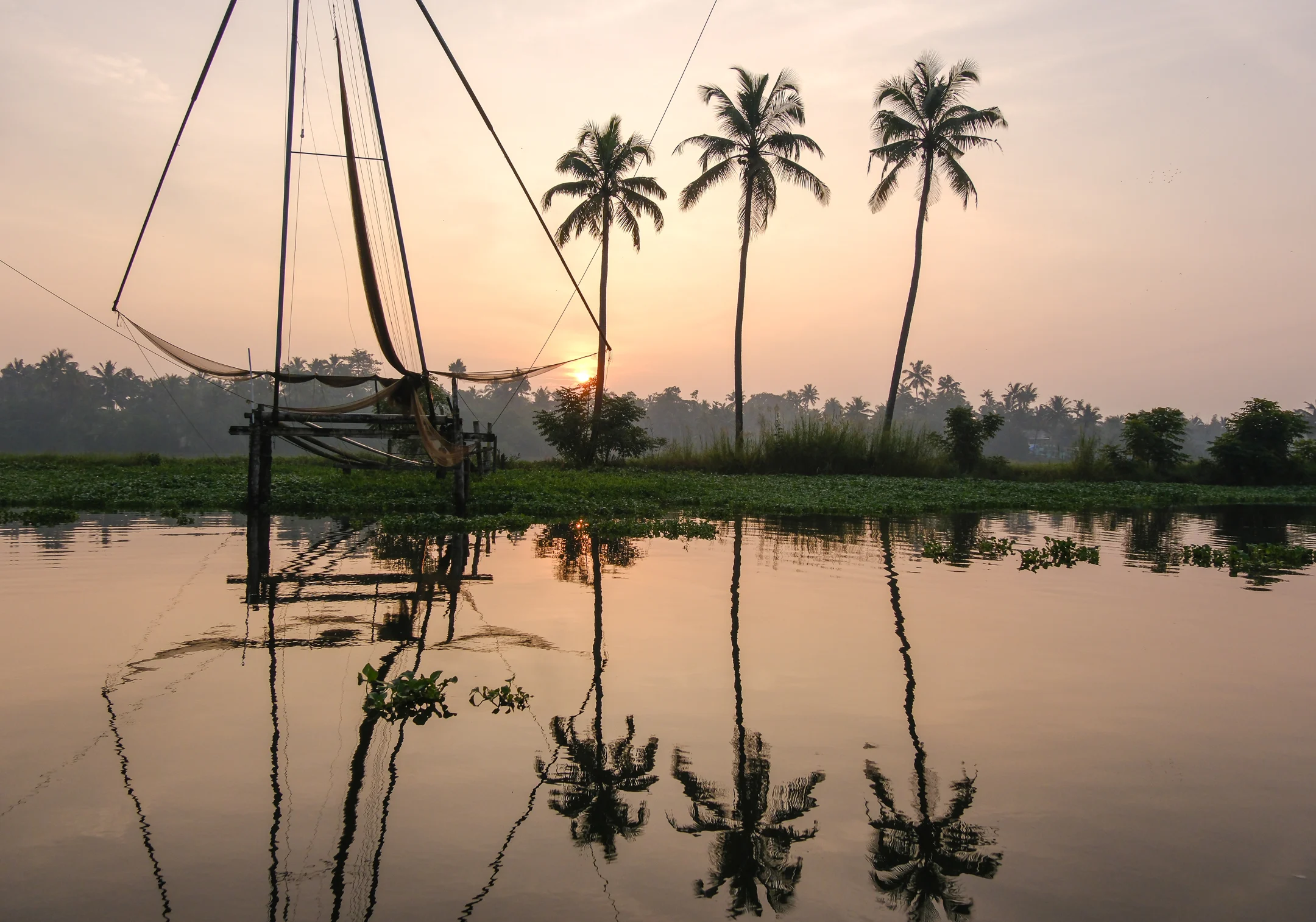 Thing to do in Kochi